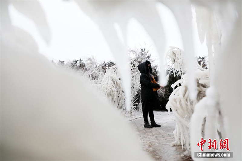 Shandong : à Weihai, le paysage de glace ressemble à un « monde de glace et de neige »