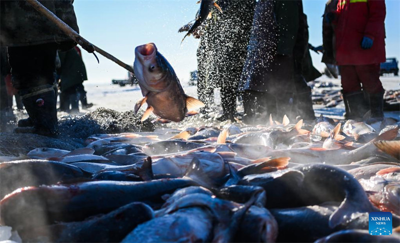 Jilin : des pêcheurs attrapent du poisson sur le lac Chagan