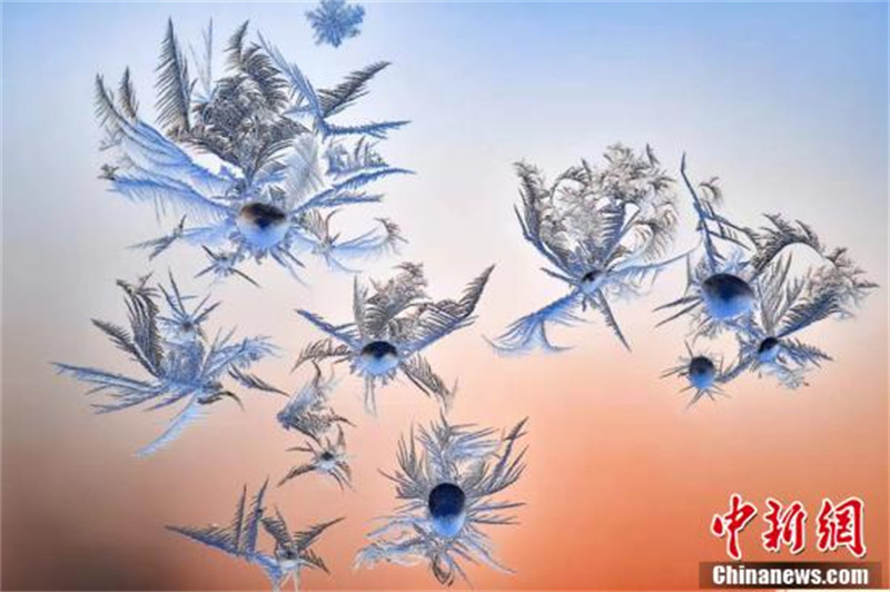 Les fleurs en glace de fenêtre du nord-est de la Chine : l'« art du papier découpé » de la nature !