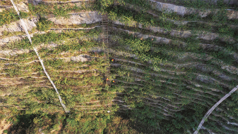 À Liuzhou dans le Guangxi, on gravit « l'échelle céleste » pour reverdir une montagne