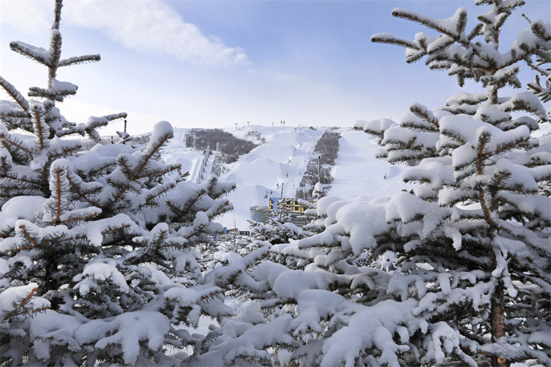 A Zhangjiakou du Hebei, les sites des Jeux olympiques d'hiver voient leurs premières chutes de neige de 2022