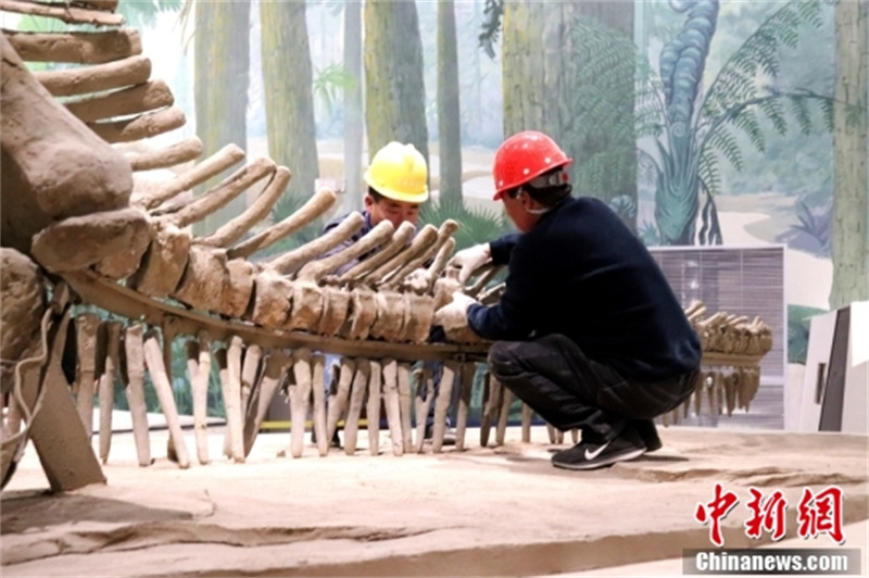 Shandong : à la découverte du plus grand dinosaure à bec de canard connu au monde