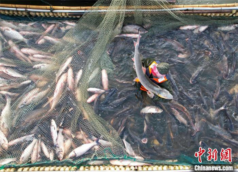 Jiangsu : la saison de la pêche d'hiver bat son plein à Taizhou