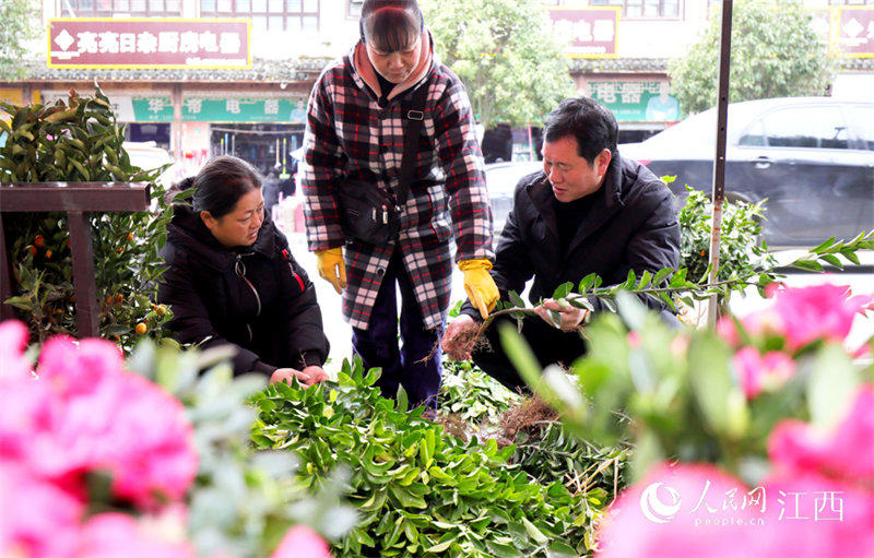 A Yifeng, dans la province du Jiangxi, les agriculteurs sont assidus et le printemps arrive tôt