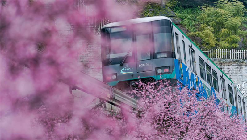 Chongqing : un train qui va vers le printemps