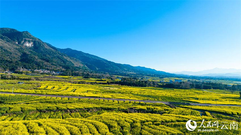 Yunnan : le « grenier de Tengyue » dans toute la beauté du printemps