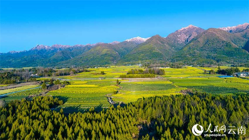 Yunnan : le « grenier de Tengyue » dans toute la beauté du printemps