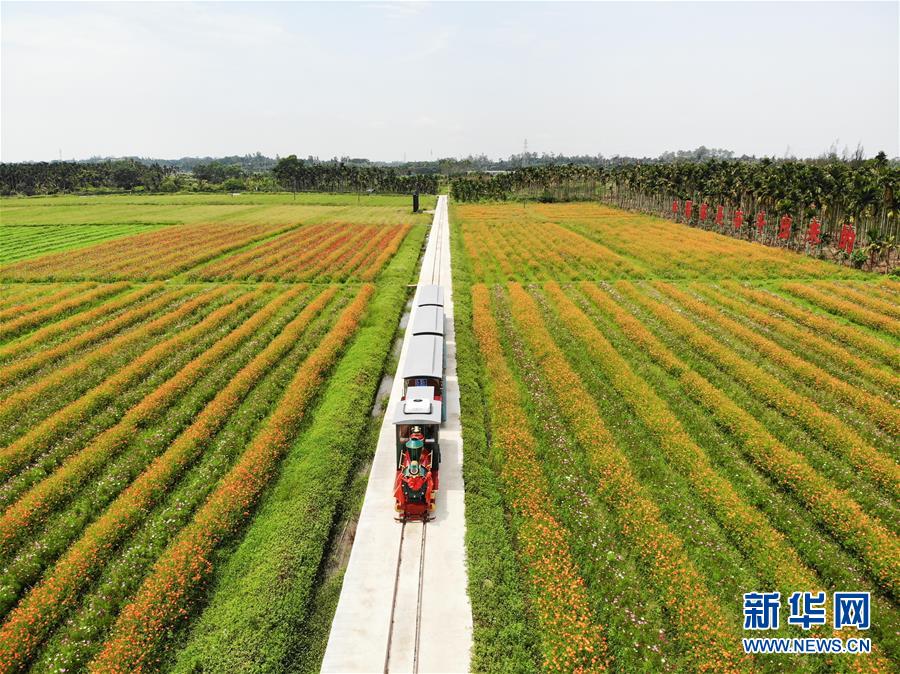 Les autorités centrales chinoises fixent un objectif ambitieux pour la croissance rurale
