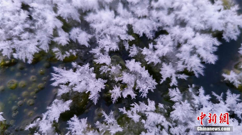 Des « fleurs de glaces » poussent sur les rivières du « pôle de froid » de la Chine