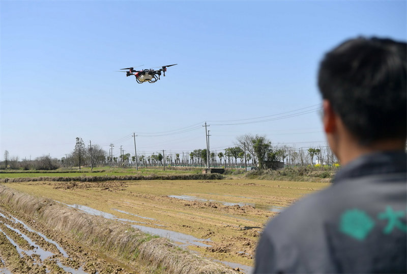 Découvrez les « labours de printemps intelligents » sur la plaine du lac Poyang