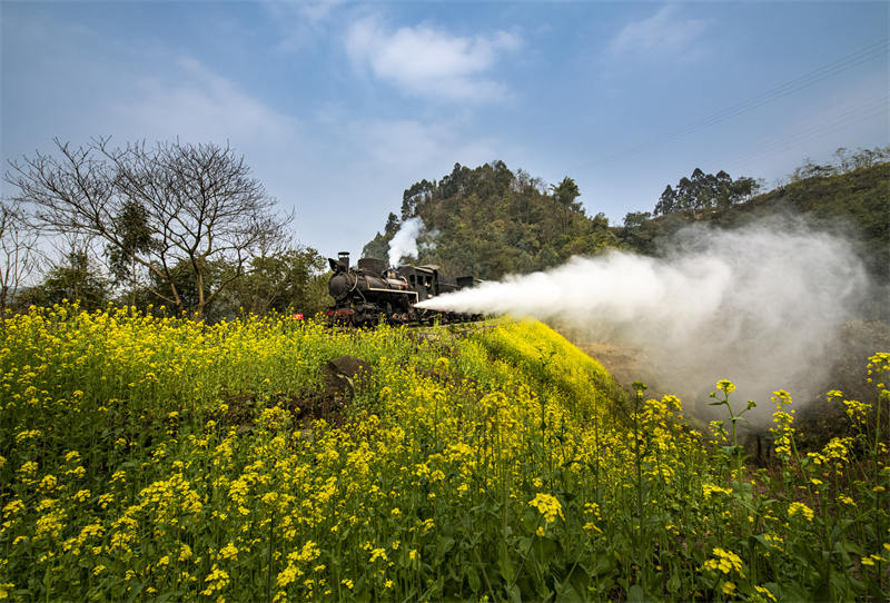Sichuan : le petit train qui se dirige vers le printemps