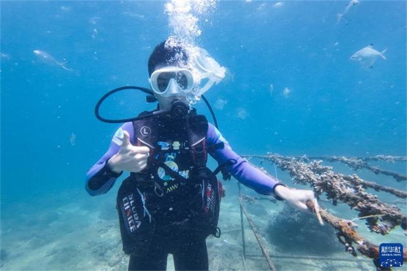 Hainan : Le taux de couverture corallienne dans les eaux de l'île de Wuzhizhou atteint 37 %