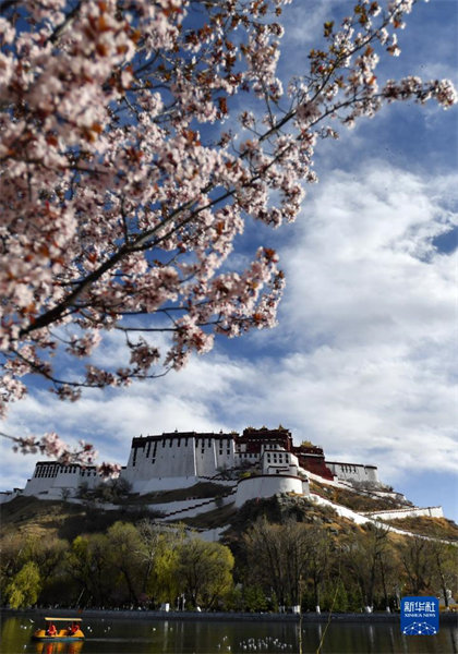 Tibet : Les fleurs en pleine éclosion autour du Palais du Potala de Lhassa
