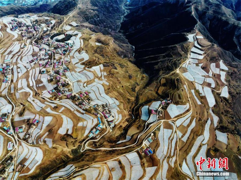 Une base de plantation de pommes de terre dans la province du Qinghai vue du ciel