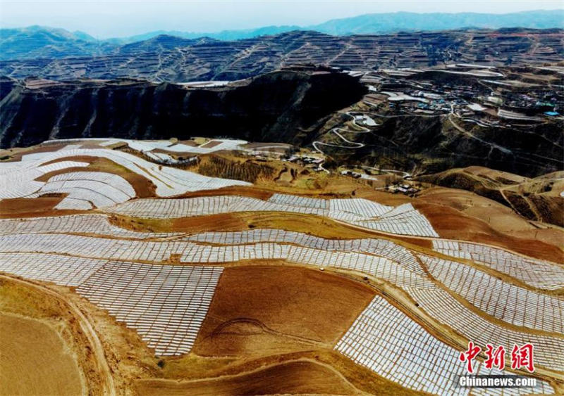 Une base de plantation de pommes de terre dans la province du Qinghai vue du ciel