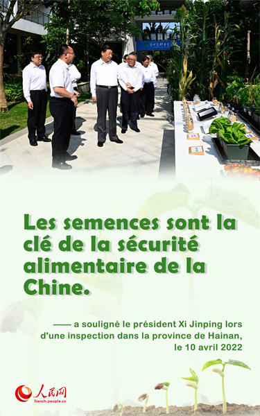Xi Jinping souligne la nécessité d'assurer la stabilité et la sécurité alimentaires de la Chine