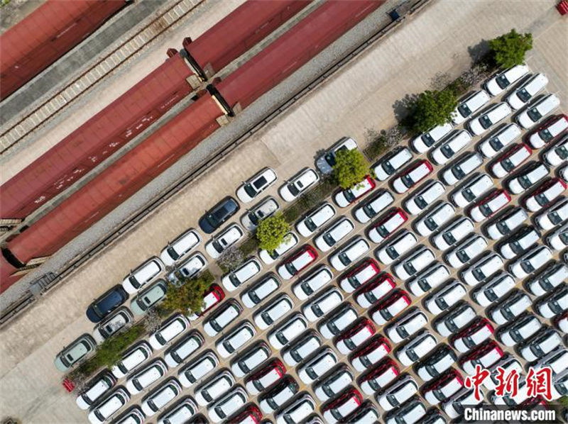 Les voitures fabriquées dans le Guangxi sont envoyées dans le monde entier sur un « porte-avions terrestre »