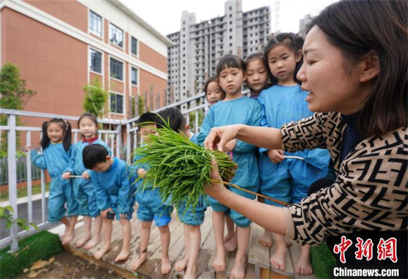 Des enfants apprennent le repiquage du riz dans le Jiangxi