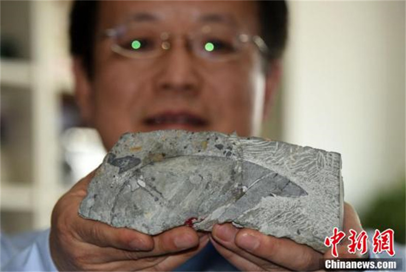 Un nouveau poisson eugaleaspide âgé de 410 millions d'années découvert en Chine