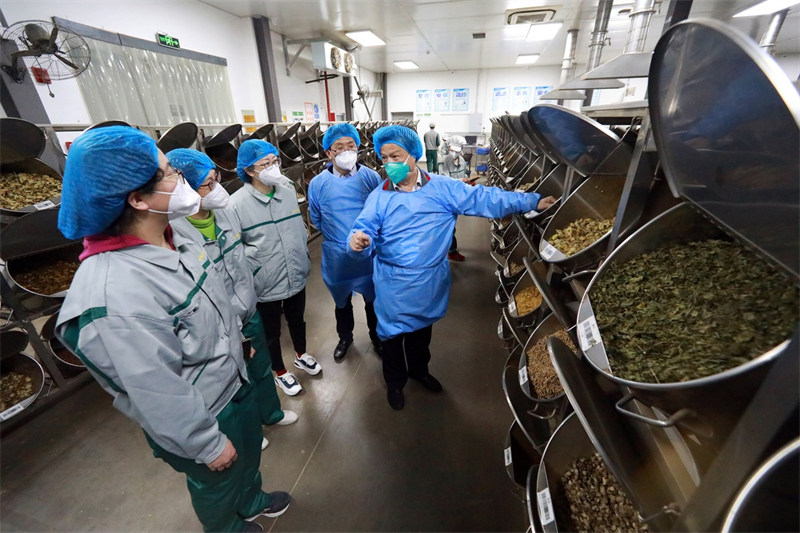 Comment la médecine traditionnelle chinoise aide Shanghai à lutter contre la COVID-19 ?