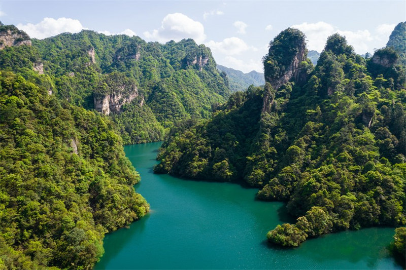 Chine : zone touristique de Wulingyuan au Hunan