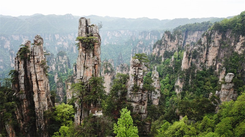 Chine : zone touristique de Wulingyuan au Hunan