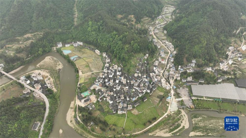 Guizhou : la culture du riz à la fin du printemps