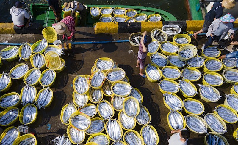 Hainan : le moratoire sur la pêche approche et la pêche bat son plein à Qionghai
