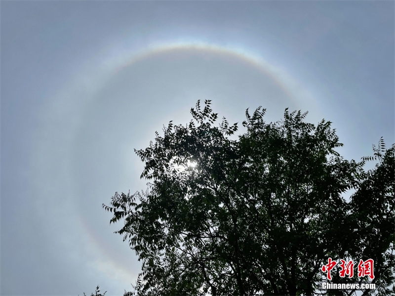 Un halo solaire observé dans le ciel de Beijing