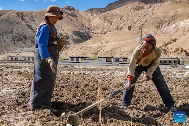 Les travaux agricoles de printemps commencent dans la commune administrative la plus proche du mont Qomolangma