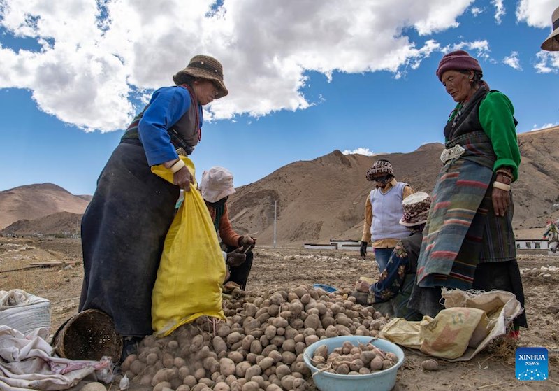 Les travaux agricoles de printemps commencent dans la commune administrative la plus proche du mont Qomolangma