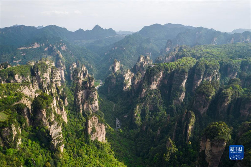 Hunan : le patrimoine mondial naturel de Wulingyuan vu d'en haut