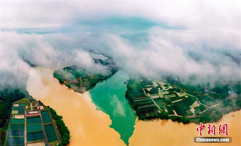 Guangxi : l'estuaire de Sanjiangkou marqué par un paysage de rivières en deux couleurs à Nanning