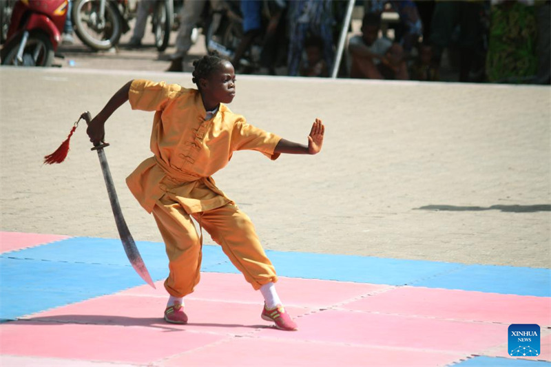 Un spectacle d'arts martiaux chinois donné lors d'une cérémonie de remise de diplômes à Cotonou, au Bénin