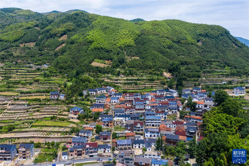 Le Zhejiang développe des secteurs spéciaux pour créer des « villages du futur »