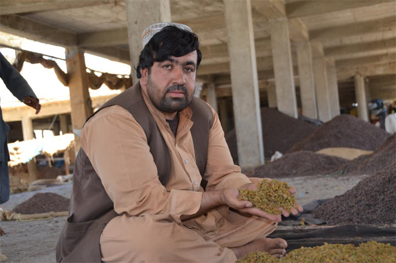  Afghanistan : la province du Kandahar enregistre une hausse dans ses exportations de raisins secs