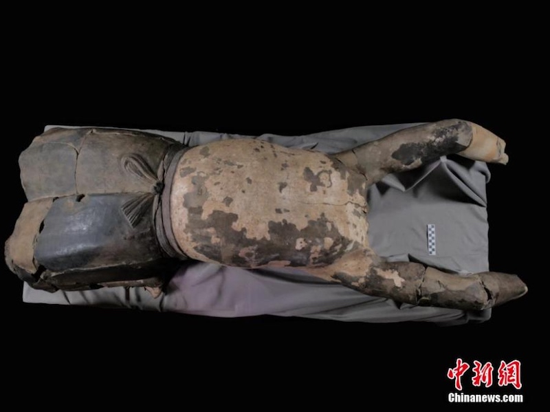 Un guerrier en terre cuite en position couchée dévoilé au public à Xi'an