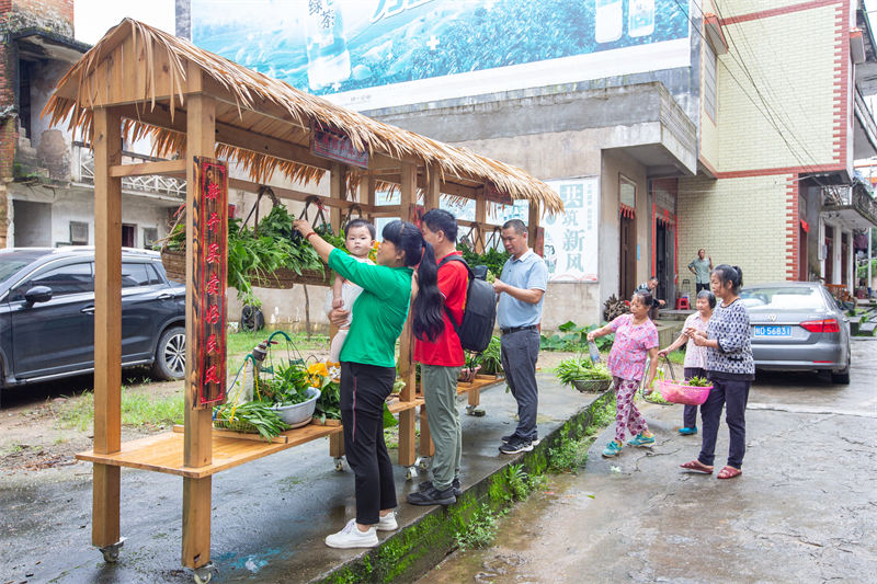 Guangxi : un mini-marché de légumes en libre-service dans un village à Mengshan