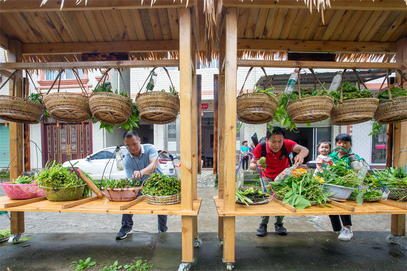 Guangxi : un mini-marché de légumes en libre-service dans un village à Mengshan