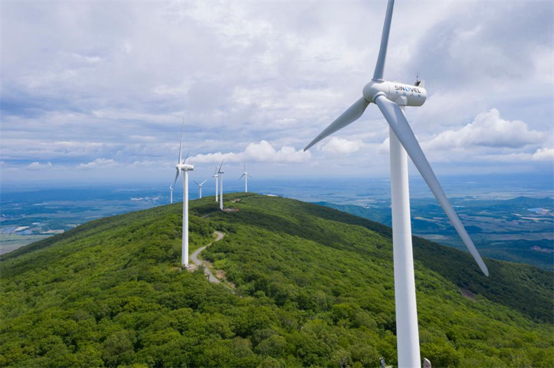 Chine : éoliennes dans un parc forestier au Heilongjiang