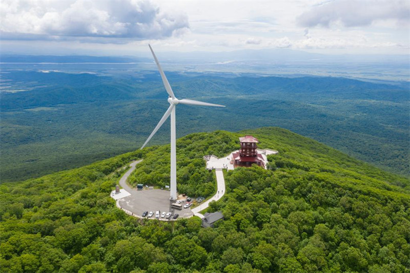 Chine : éoliennes dans un parc forestier au Heilongjiang