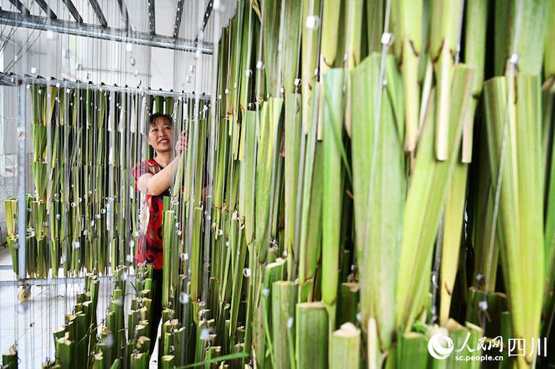 Sichuan : la fabrication des éventails bat son plein cet été à Neijiang
