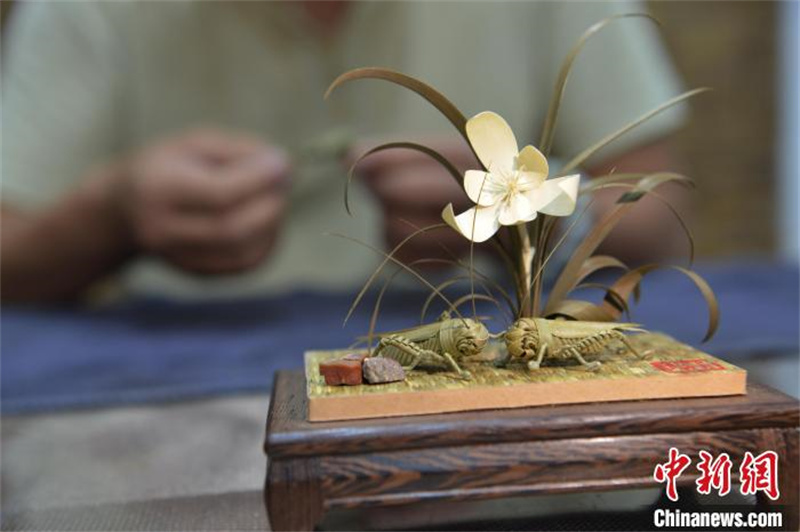 Hebei : les tiges des feuilles revivent entre les mains d'un artisan folklorique de tissage de paille à Shijiazhuang