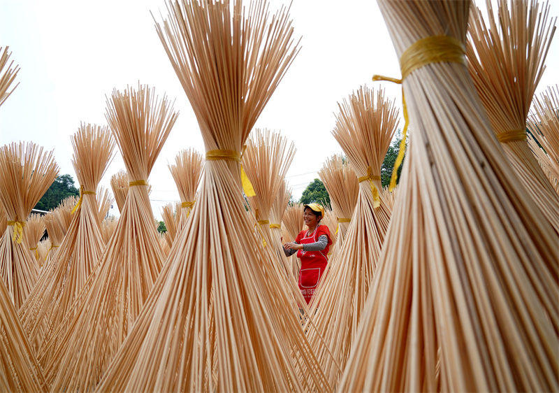 Le séchage des produits semi-finis de bambou dans le Jiangxi