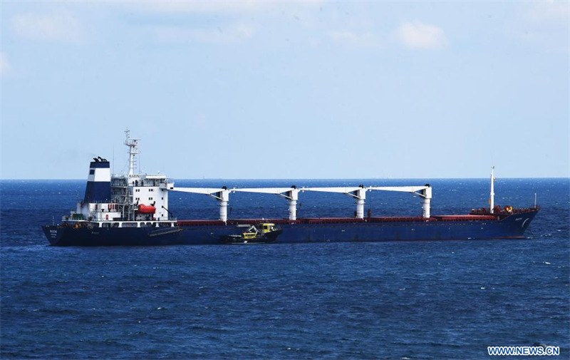 Turquie : le premier navire transportant des céréales ukrainiennes subit une inspection au large d'Istanbul