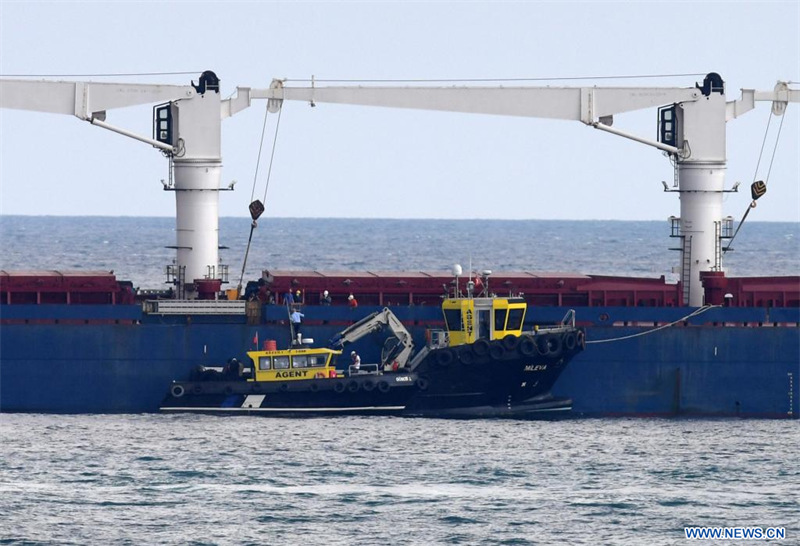 Turquie : le premier navire transportant des céréales ukrainiennes subit une inspection au large d'Istanbul