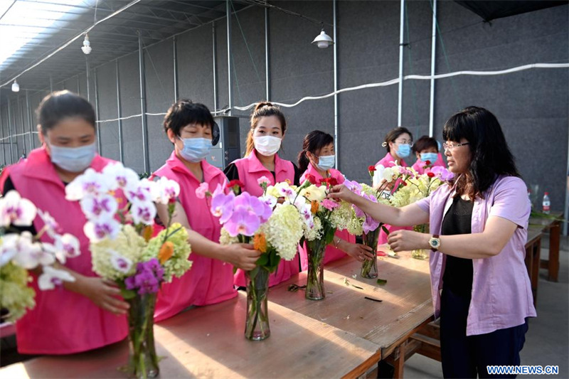 Chine : industrie de l'horticulture à Rizhao au Shandong