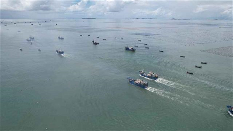 Fujian : des milliers de bateaux sont sortis en mer pour la pêche