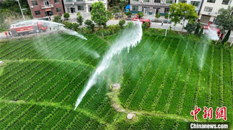 Jiangxi : diverses mesures prises pour lutter contre la sécheresse pour assurer la production agricole à Pingxiang