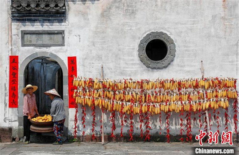 Anhui : une « image du séchage » dans un vieux village à Huangshan